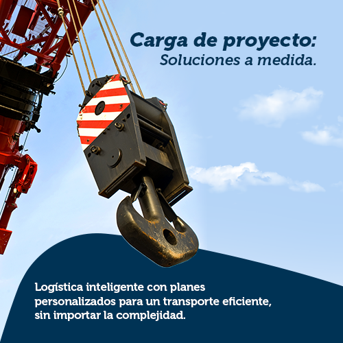 Carga del proyecto